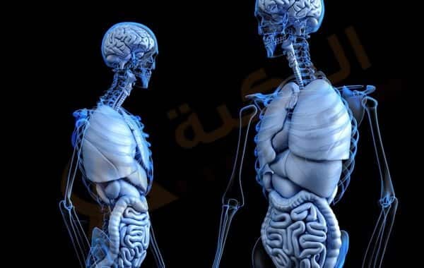 قرحة القولون