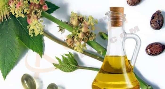 فوائد زيت الخروع