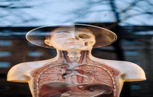 تجمع الماء في الرئة