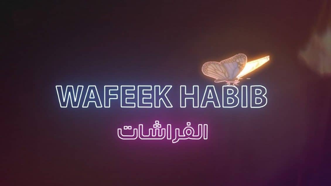 بوستر اغنية الفراشات