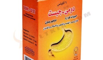 دومي جيست