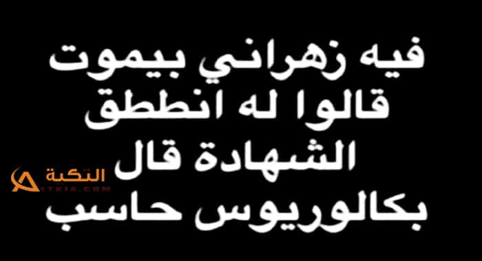 نكت زهارين