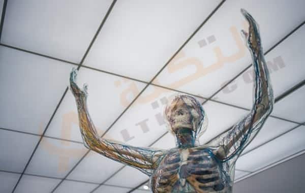 ضعف الأعصاب