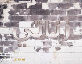 معنى اسم زناتي