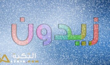 معنى اسم زيدون
