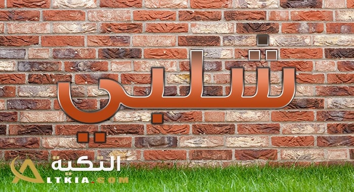 معنى اسم شلبي