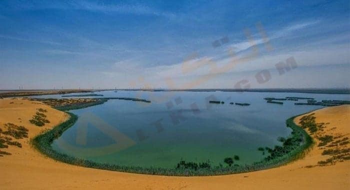 بحيرة الأصفر أجمل أماكن السياحة في الاحساء