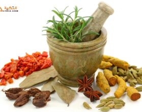 علاج سرعة القذف