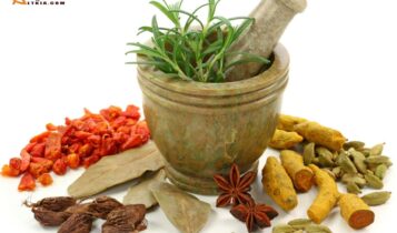 علاج سرعة القذف