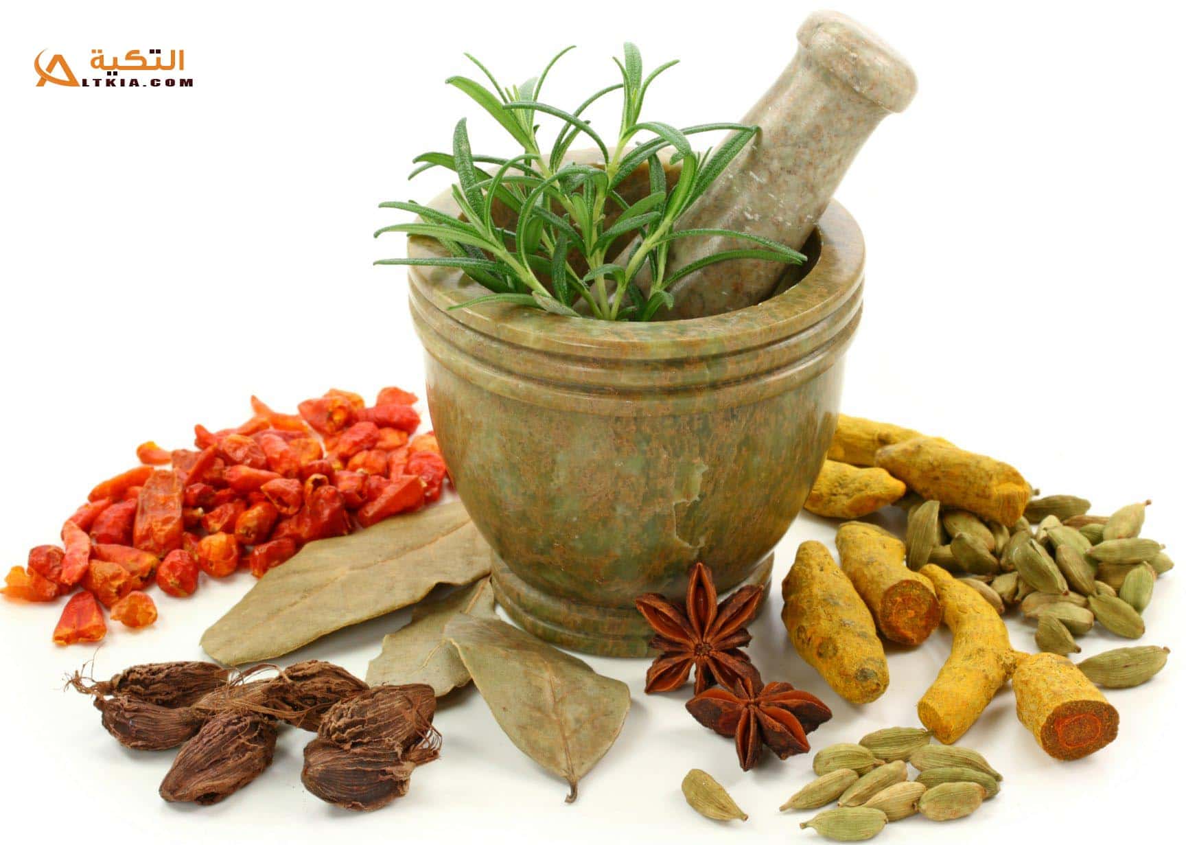 علاج سرعة القذف