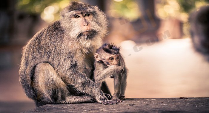 السياحة في بالي: افضل 10 اماكن سياحية في بالي