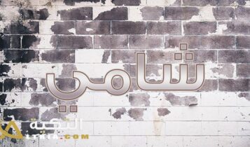 معنى اسم شامي