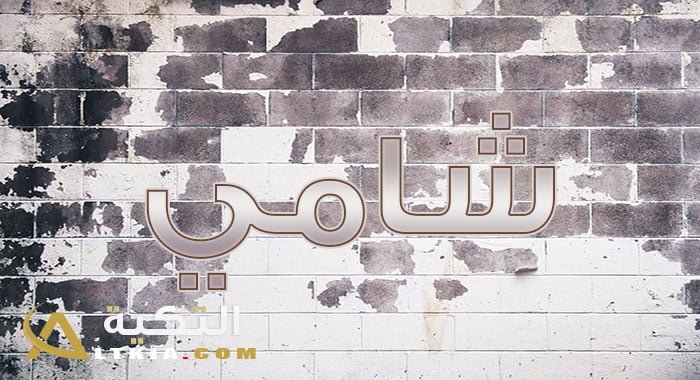 معنى اسم شامي