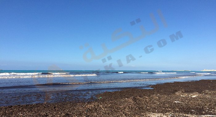 أفضل شواطئ الإسكندرية المعمورة