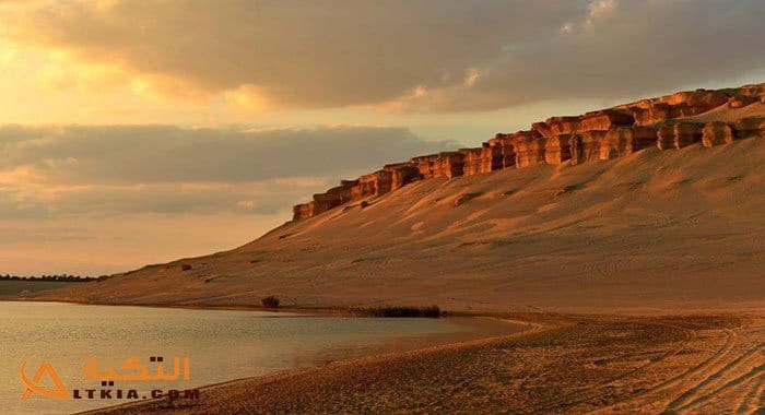 بحث عن وادي الريان