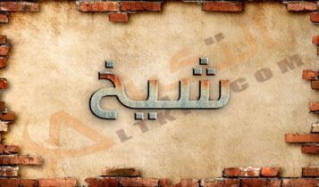 معنى اسم شيخ