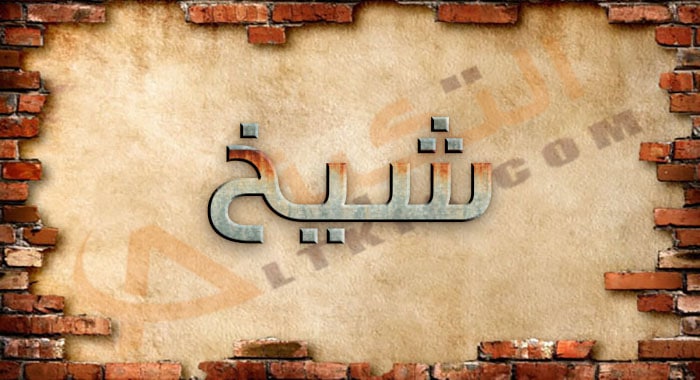 معنى اسم شيخ