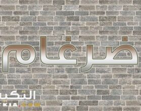 معنى اسم ضرغام