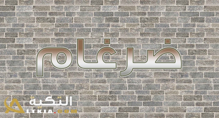 معنى اسم ضرغام