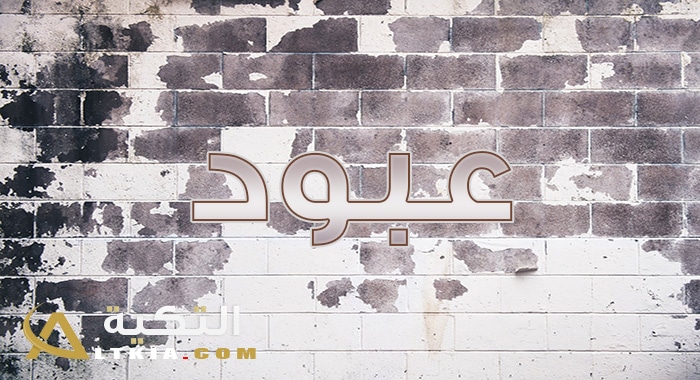 معنى اسم عبود