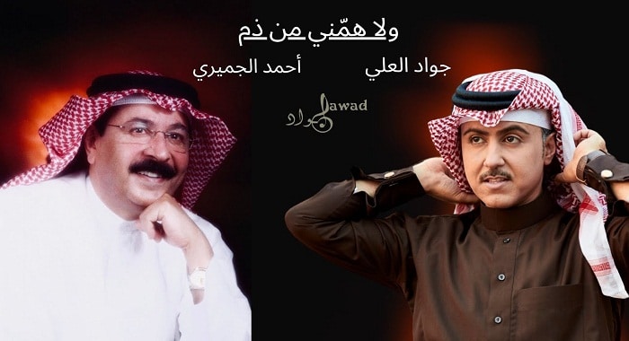 اغنية ولا همني من ذم