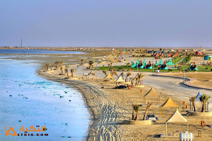 شاطئ وميناء العقير