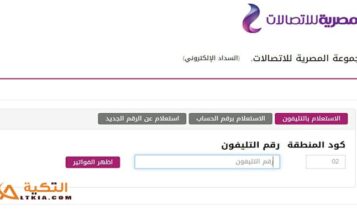 فاتورة التليفون الأرضي