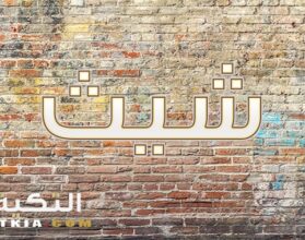 معنى اسم شيث