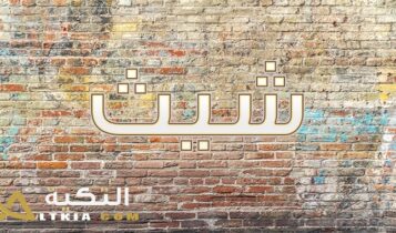 معنى اسم شيث