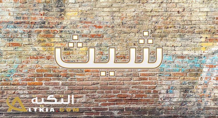 معنى اسم شيث