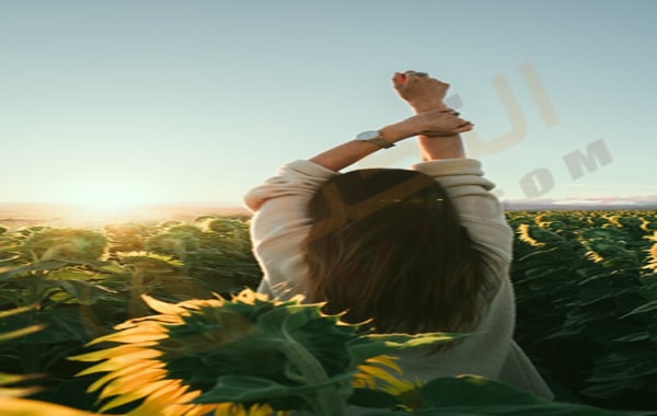 التهاب المبايض