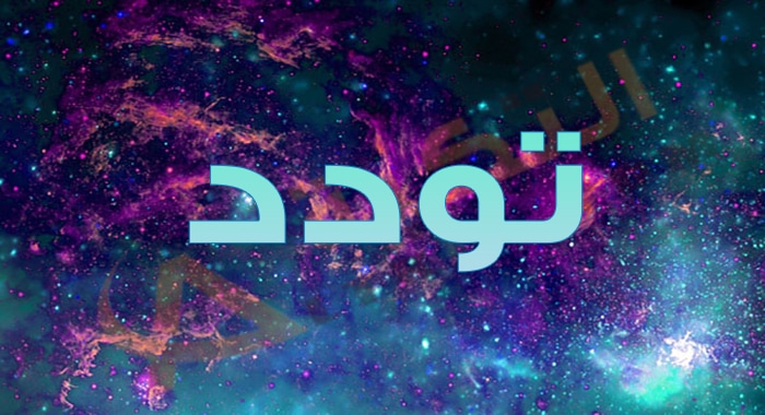 معنى اسم تودد