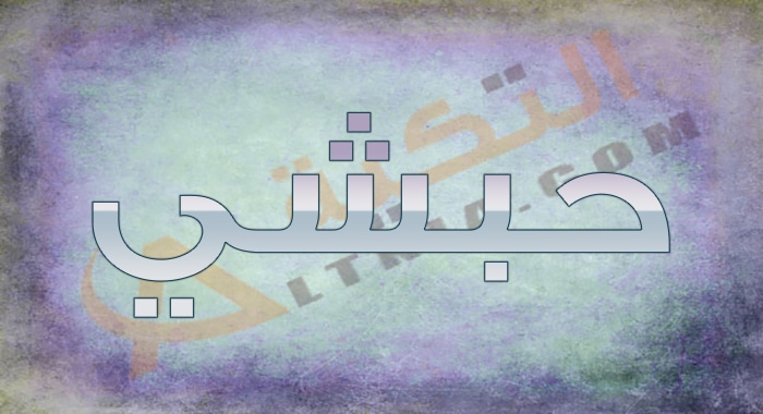 معنى اسم حبشي