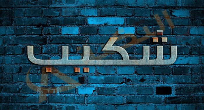 معنى اسم شكيب