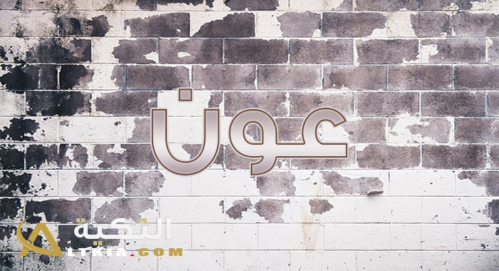 معنى اسم عون