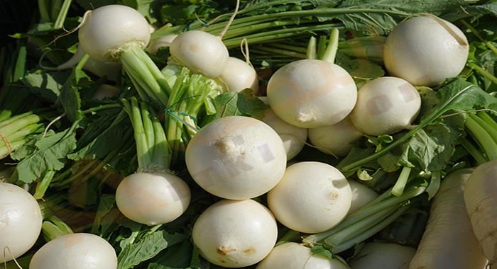 تفسير حلم رؤية اللفت
