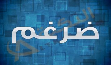 معنى اسم ضرغم