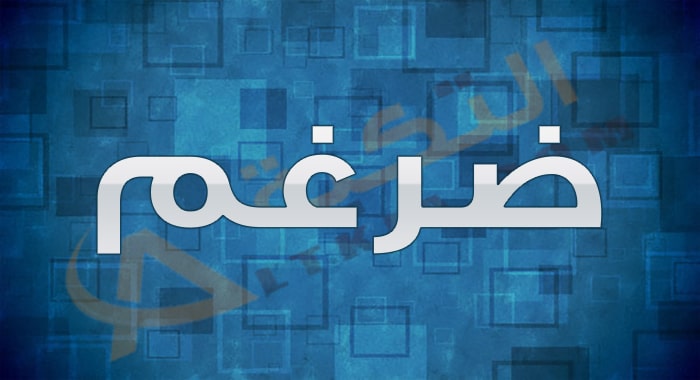 معنى اسم ضرغم