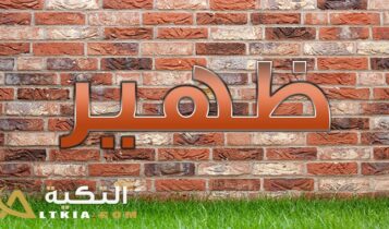 معنى اسم ظهير