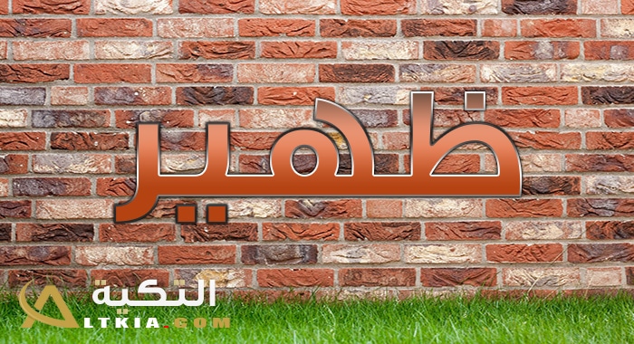 معنى اسم ظهير