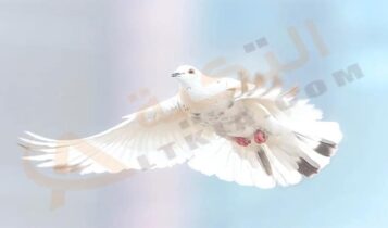 تفسير حلم الحمام الزغلول