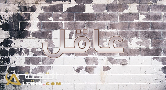 معنى اسم عاقل