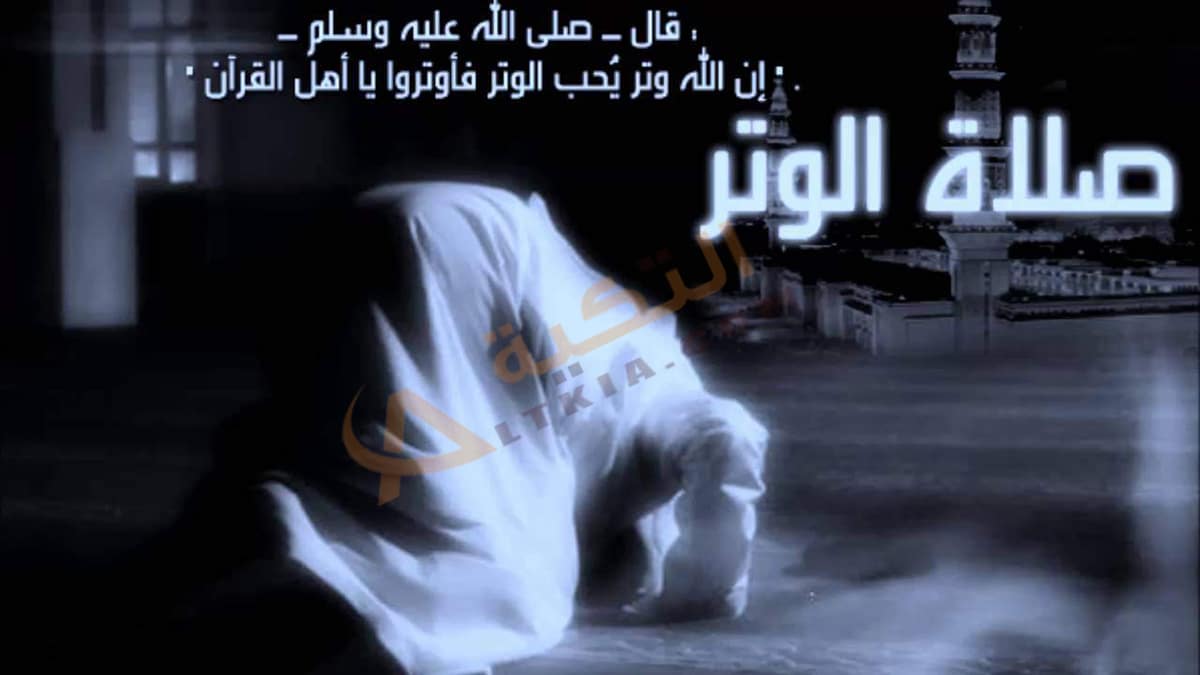 كيفية صلاة الوتر
