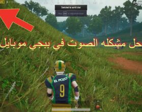 حل مشكلة الصوت في لعبة ببجي