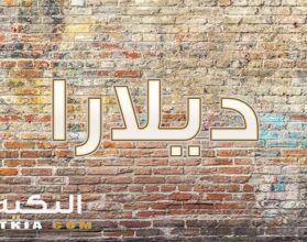 معنى اسم ديلارا