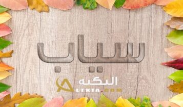معنى اسم سياب