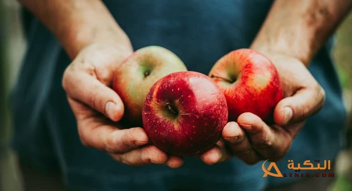 إعطاء التفاح في المنام