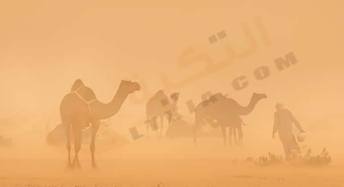 ما هي رياح الخماسين وما أضرارها ولماذا سميت بهذا الاسم ما هي رياح الخماسين وما أضرارها ولماذا سميت بهذا الاسم