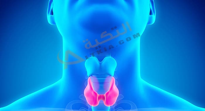 اعراض فرط نشاط الغدة الدرقية