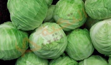 تفسير رؤية شراء الكرنب في المنام